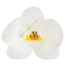  10 db fehér orchidea ostyavirág sütés és főzés