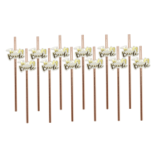  12 darabos papír szívószál – Lánybúcsú – Team Bride – Rose Gold party kellék