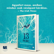  13 perc - puhatáblás kiadás / pocketbook irodalom