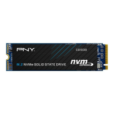  1TB M.2 2280 NVMe CS1030 (M280CS1030-1TB-RB) merevlemez, ssd