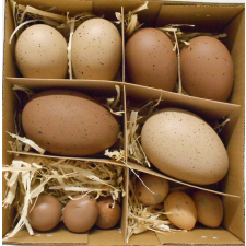  208JF-9104-12 DEKOR TOJÁS 12 DB dekorációs kellék