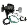 312926 STREETLIGHTS 50cc hengerkészlet, kerek, LC, Peugeot JetForce 50 C-Tech, Ludix modellekhez 312926 Motor alkatrészek Hengerfejek, hengerszettek Hengerszettek