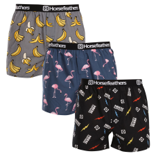 3PACK Férfi bő szárú boxeralsók Horsefeathers Frazier Bundle 6 (AM096I) M férfi alsó