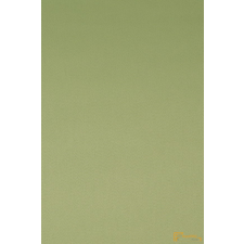 (42 szín) DIM OUT FLORIAN 0317 (11) FR 150cm Halványzöld lakástextília