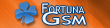 Fortuna GSM