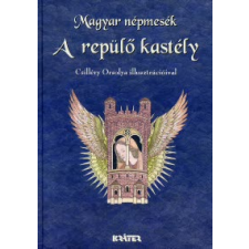 A REPÜLŐ KASTÉLY gyermek- és ifjúsági könyv