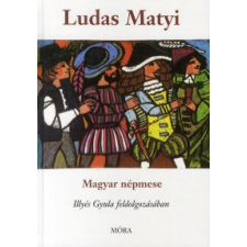 Illyés Gyula Ludas Matyi gyermek- és ifjúsági könyv