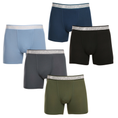  5PACK Férfi boxeralsó Gianvaglia többszínű (GVG-5013) M