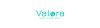 Valora Webshop
