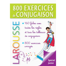  800 exercices de conjugaison – André Vulin idegen nyelvű könyv