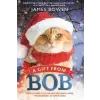  A Gift from Bob: How a Street Cat Helped One Man Learn the Meaning of Christmas – James Bowen