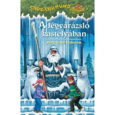 A Jégvarázsló kastélyában gyermek- és ifjúsági könyv