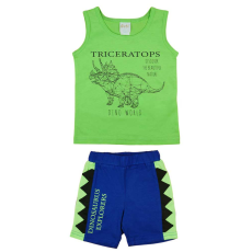 A-K Dinoszauruszos kisfiú nyári szett