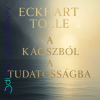  A káoszból a tudatosságba