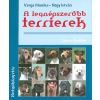  A legnépszerűbb terrierek
