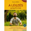 A légzés gyógyító ereje - Mindennapi gyakorlatok a sejtek bőséges oxigénellátásáért - Letölthető mp3-meditációval