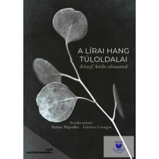 A lírai hang túloldalai - József Attila-olvasatok regény