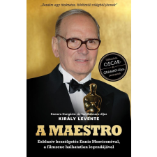 A Maestro - Ennio Morricone regény