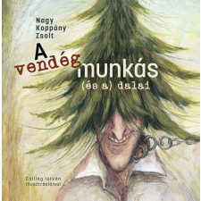 A vendégmunkás (és a) dalai regény
