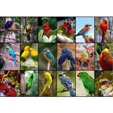 A világ legszebb madarai puzzle 1500 darabos puzzle, kirakós