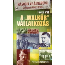 A Walkür Vállalkozás történelem
