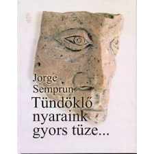 Ab Ovo Tündöklő nyaraink gyors tüze... antikvárium - használt könyv
