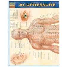  Acupressure Laminate Reference Chart – BarCharts Inc idegen nyelvű könyv