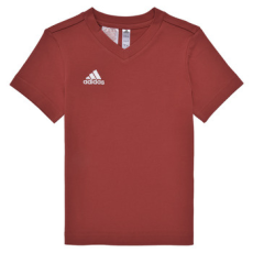 Adidas Rövid ujjú pólók ENT22 TEE Y Piros 7 / 8 éves