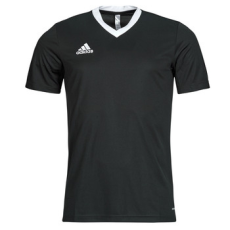 Adidas Rövid ujjú pólók Entrada 22 Jersey Fekete EU S