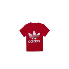 Adidas Rövid ujjú pólók TREFOIL TEE Piros 12 / 18 hónapos gyerek póló