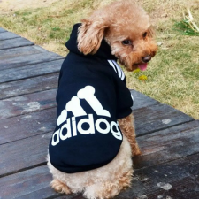  Adidog kapucnis Kutyapulóver sok színben és méretben 7XL Fekete kutyaruha