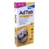  AdTab rágótabletta bolha és kullancs ellen kistestű kutyáknak (2,5–5,5 kg), 112 mg