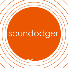Adult Swim Games Soundodger+ (PC - Steam Digitális termékkulcs) videójáték