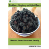 Agrihortico Blackberry, Raspberry and Hybrid Berry
