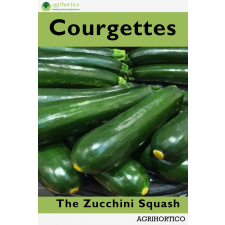Agrihortico Courgettes egyéb e-könyv