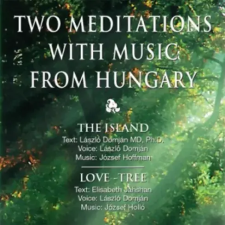 Agykontroll Two meditations from Hungary egyéb e-könyv