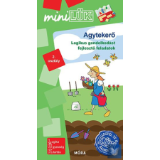 Agytekerő - Logikus gondolkodást fejlesztő feladatok 2. osztály tankönyv