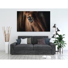  Ai Generált Állatos Vászonkép - Ló Szem grafika, keretezett kép