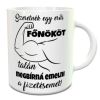  Ajándék főnöknek - Vicces bögre főnöknek