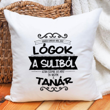  Ajándék pedagógusnak - Párna tanároknak lakástextília