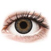 Alcon FreshLook One Day Color Grey - dioptria nélkül (10 db lencse)
