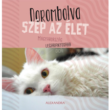 Alexandra Könyvesház Kft. Dorombolva szép az élet - Magyarország legaranyosabb cicái hobbi, szabadidő