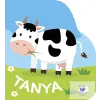  Állati pancsolókönyv - Tanya