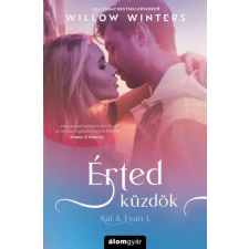 Álomgyár. Érted küzdök egyéb e-könyv