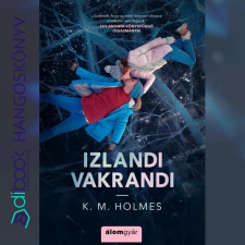 Álomgyár. Izlandi vakrandi regény