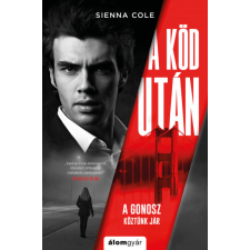 Álomgyár Kiadó A köd után (05.31.) regény