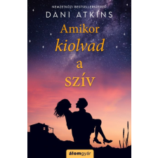 Álomgyár Kiadó Dani Atkins - Amikor kiolvad a szív regény