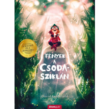 Álomgyár Kiadó Fények a Csoda-sziklán gyermek- és ifjúsági könyv
