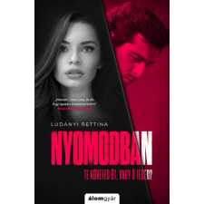 Álomgyár. Ludányi Bettina - Nyomodban regény