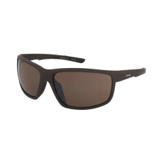 Alpina Napszemüveg Alpina Defey Tin Matt-Black/CM Brown